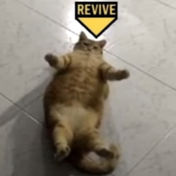 WorstPIayer's Avatar