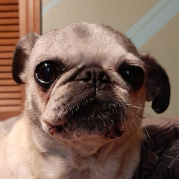 Hippopugamus's Avatar
