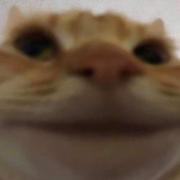 BigWhoppa12's Avatar