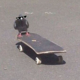 pigeon.r6's Avatar