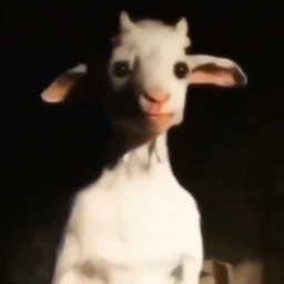 e.hot's Avatar