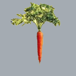 Porkkana1337's Avatar