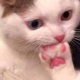 Olitiy's Avatar
