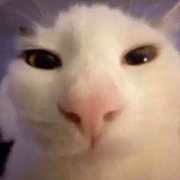 zxbii.RCE's Avatar