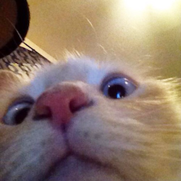 Shark.JKrZ's Avatar