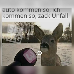 qAtxz.Waifu's Avatar