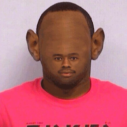 zo.k's Avatar