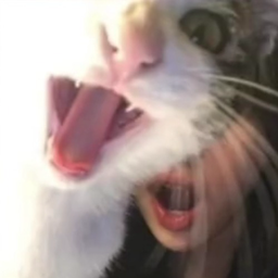 SlippySlipper49's Avatar