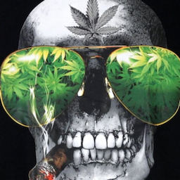 Trinskull.OP's Avatar