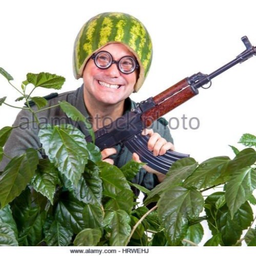 Philip.J.Anis's Avatar