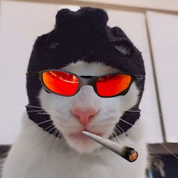 YPM.'s Avatar