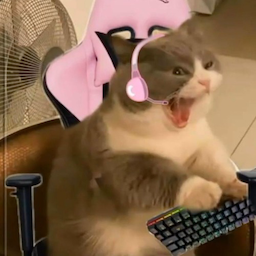 lordzin-.'s Avatar