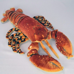 lagostimmmmmmmm's Avatar
