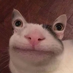 SIumpyNuts's Avatar
