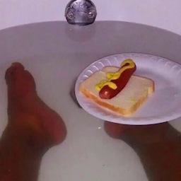 BathtubHotdog's Avatar