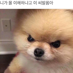 kkl123g's Avatar