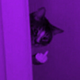 N1.SCARY's Avatar
