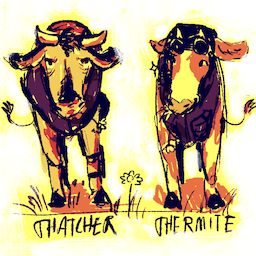Bruhcow's Avatar