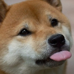 memeabsorber's Avatar