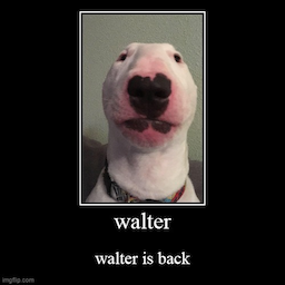 WalterAubuchon's Avatar