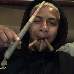 LulliBundFudi's Avatar