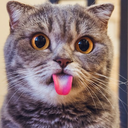 Buzly.'s Avatar