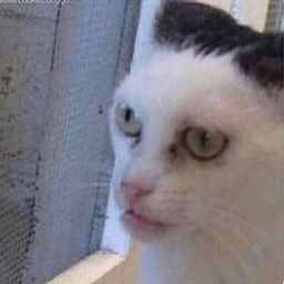 xXKillMasterXx's Avatar
