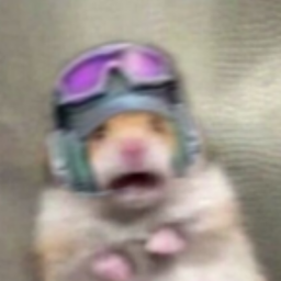 Zerashkk's Avatar