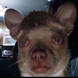 JustDoDabs's Avatar