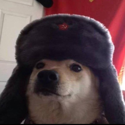 TheUnknownPig's Avatar