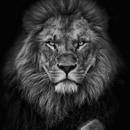 Bufa.'s Avatar