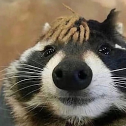 Eyauq's Avatar