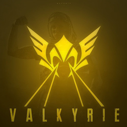 Walkyrie_V1's Avatar