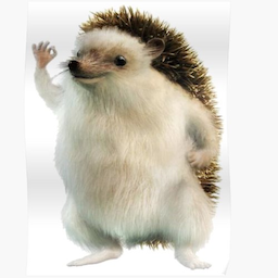 QuickCape's Avatar