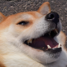 DtnName's Avatar