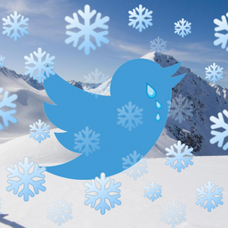 Snxwi.'s Avatar