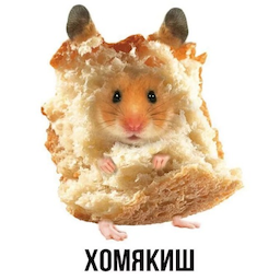 Xomyakish's Avatar