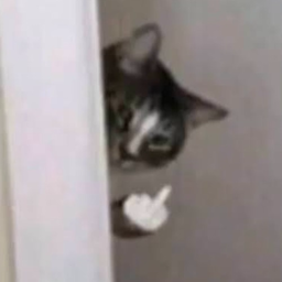 BigGloopen's Avatar
