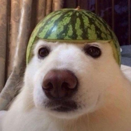 yalosbalos's Avatar