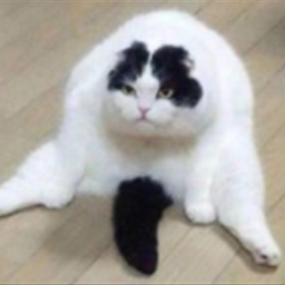 purpIeguy's Avatar