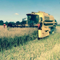 newholland.Baer's Avatar