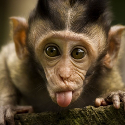 LaSpanky's Avatar