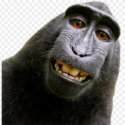 MonkeyHunterI23's Avatar