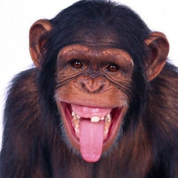 FqZ..'s Avatar