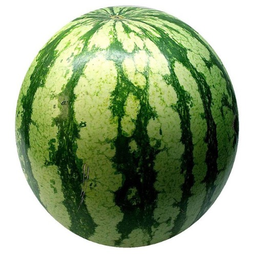 I48KgWatermelon's Avatar