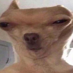 MeDonkTTV's Avatar