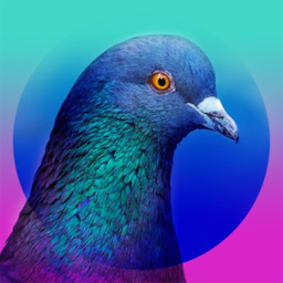 Scary_Pigeon.'s Avatar