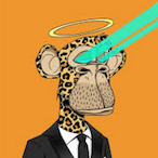 THE CXCTUS's Avatar'