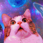 CheddarCheeze-.'s Avatar'