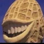 Recyckled_Nut's Avatar'